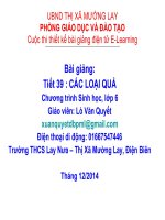 Slide sinh 6 các loại quả _Gv L.V Quyết