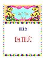 Bài giảng đa thức đại số 7