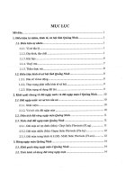 Một số nhận xét về môi trường và hiện trạng sử dụng đất ngập mặn ven biển ở tỉnh QN