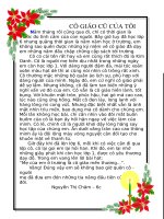 Bao tuong: ki niem thay co 2