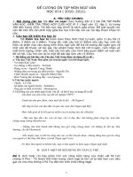 đề cương ôn tập ngữ văn 12