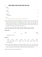 gioi thieu 1 so kich ban lua trai