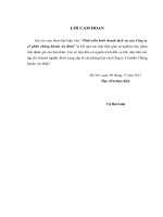 Phát triển kinh doanh dịch vụ của Công ty cổ phần chứng khoán An Bình