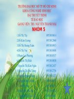 quang hợp ở thực vật