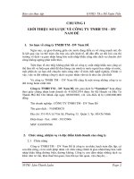 Báo cáo thực tập kế toán tại công ty TNHH TM - DV Nam Đế