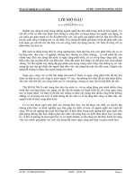 Đồ Án Tốt Nghiệp Kỹ Sư Xây Dựng Khóa 2007-2012 Tháp Vinaconex 2012