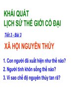 tiết 3 xã hội nguyên thuỷ