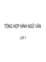 TỔNG HỢP HÌNH NGỮ VĂN 7