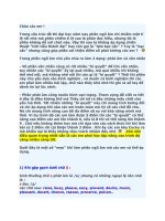 Lý thuyết ngữ âm luyện thi đại học