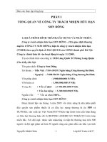 luận văn kế toán  TỔNG QUAN VỀ CÔNG TY TRÁCH NHIỆM HỮU HẠN SƠN ĐÔNG