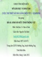 Slide sinh 11 bài 45 sinh sản hữu tính ở động vật _N.T Bình