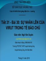 Slide sinh 10 bài 30 sự nhân lên của virut trong tế bào chủ _GV N.V Xuyên
