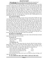 sang kien kinh nghiem chi huy doi gioi(2)