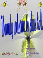 Unit 13: Festival. Leson 4: Reading