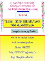 Slide sinh 12 bài 1 gen, mã di truyền, và quá trình nhân đôi của adn _P.T Hạnh