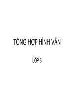 TỔNG HỢP HÌNH NGỮ VĂN 6