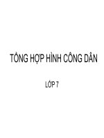 TỔNG HỢP HÌNH CÔNG DÂN 7