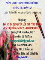 Slide sinh 7 đa dạng cảu lớp thú (tt) các bộ móng guốc và bộ linh trưởng _Gv L.T Nam