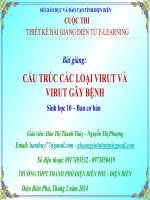 Slide sinh 10 cấu trúc các loại virut và virut gây bệnh _Gv H.T.T thủy ft N.T Phượng