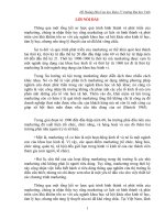 bài tiểu luận Chiến lược Marketing