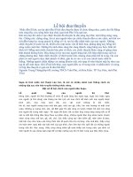 Một số bài văn tả lễ hội.