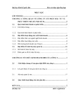 luận văn kinh doanh bất động sản TỔNG QUAN về CÔNG TY cổ PHẦN đầu tư và PHÁT TRIỂN NHÀ hà nội số 30