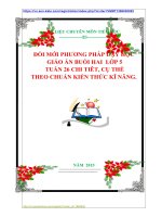 ĐỔI MỚI PHƯƠNG PHÁP DẠY HỌC  GIÁO ÁN BUỔI HAI  LỚP 5 TUẦN 26 CHI TIÊT, CỤ THỂ THEO CHUẨN KIẾN THỨC KĨ NĂNG.