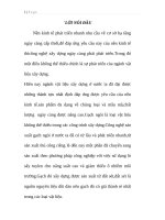 Tìm hiểu, thiết kế và tính toán dây chuyền thiết bị sản xuất gạch đỏ sử dụng máy đùn ép chân không