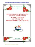 ĐỔI MỚI PHƯƠNG PHÁP DẠY HỌC  GIÁO ÁN  BUỔI HAI  LỚP 5 TUẦN 32 VÀ TUẦN 33 CHI TIÊT, CỤ THỂ THEO CHUẨN KIẾN THỨC KĨ NĂNG.