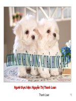 Hình ảnh động vật hài hước tập 1