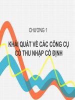 Bài giảng công cụ thu nhập cố định   chương 1  khái quát về các công cụ có thu nhập cố định