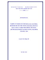Nghiên cứu bệnh lở cổ rễ (rhizoctonia solani kuhn), bệnh héo rũ gốc mốc trắng (sclerotium rolfsii sacc ) hại cà chua và biện pháp phòng trừ bằng chế phẩm ketomium tại kiến xương, thái bình năm 2013 - 2014