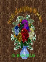 DIỆN TÍCH HÌNH VUÔNG