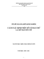SKKN( Cách xác định số ng tố)