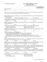 Thi Thu DH truong THPT NamDan