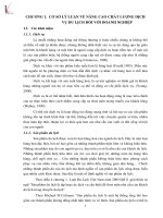 Nâng cao chất lượng dịch vụ du lịch tại Công ty Cổ phần Bảo tồn và Phát triển du lịch Bát Tràng