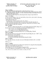 de thi hoc sinh gioi hoa 8