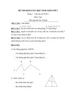 Đề thi khảo sát HSG môn Toán, tháng 1