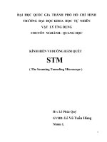 ĐỀ TÀI KÍNH HIỂN VI ĐƯỜNG HẦM QUÉT STM ( The Scanning Tunneling Microscope )