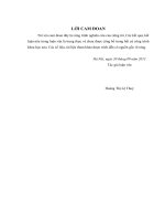 luận văn thạc sĩ  NHỮNG VẤN ĐỀ CƠ BẢN TRONG MÔ HÌNH KINH DOANH CỦA CÁC DOANH NGHIỆP THƯƠNG MẠI ĐIỆN TỬ (TMĐT