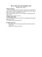 DE CƯƠNG VAN 9 HKII