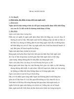 thuyết trình môn quản lý tổ chức: Ngân sách