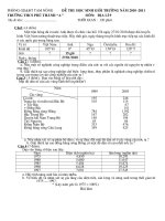 Đề thi HS giỏi lớp 9 NH:10-01