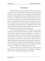 Báo cáo tổng hợp về tổ chức hạch toán kế toán tại Trung tâm Viễn thông Di động Điện lực