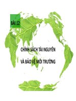 Bài 12: Chính sách bảo vệ môi trường