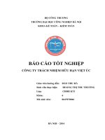 luận văn kế toán Nghiên cứu sâu về tổ chức, quản lý tại công ty TNHH Việt Úc