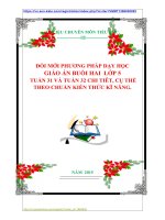ĐỔI MỚI PHƯƠNG PHÁP DẠY HỌC GIÁO ÁN BUỔI HAI  LỚP 5 TUẦN 31 VÀ TUẦN 32 CHI TIÊT, CỤ THỂ THEO CHUẨN KIẾN THỨC KĨ NĂNG.