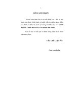 LUẬN án TIẾN sĩ DH KINH tế QUỐC dân đề tài điều CHỈNH THUẾ THU NHẬP TRONG điều KIỆN VIỆT NAM là THÀNH VIÊN tổ CHỨC THƯƠNG mại THẾ GIỚI