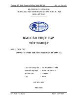 Tình hình thực tế công tác kế toán tại Công ty TNHH Thương mại Điện Tử Sơn Hà