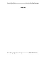 luận văn kế toán  Thực trạng tổ chức hạch toán kế toán tại Công ty TNHH Thương mại và Dịch vụ Huy Nguyên.